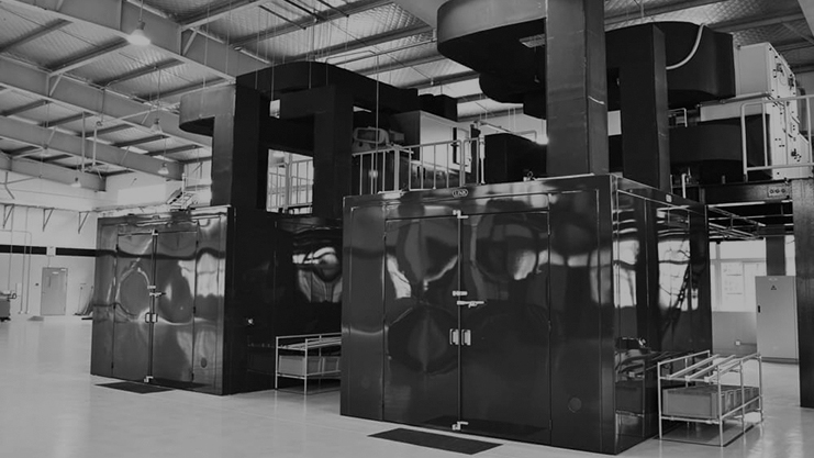 dinamometro masterlab